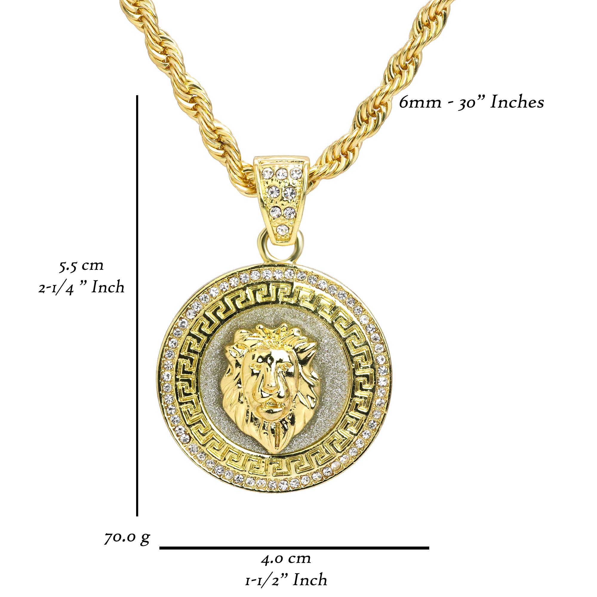 Lion Pattern Coin Pendant 30" Rope Chain Hip Hop Style 18k Gold Plated