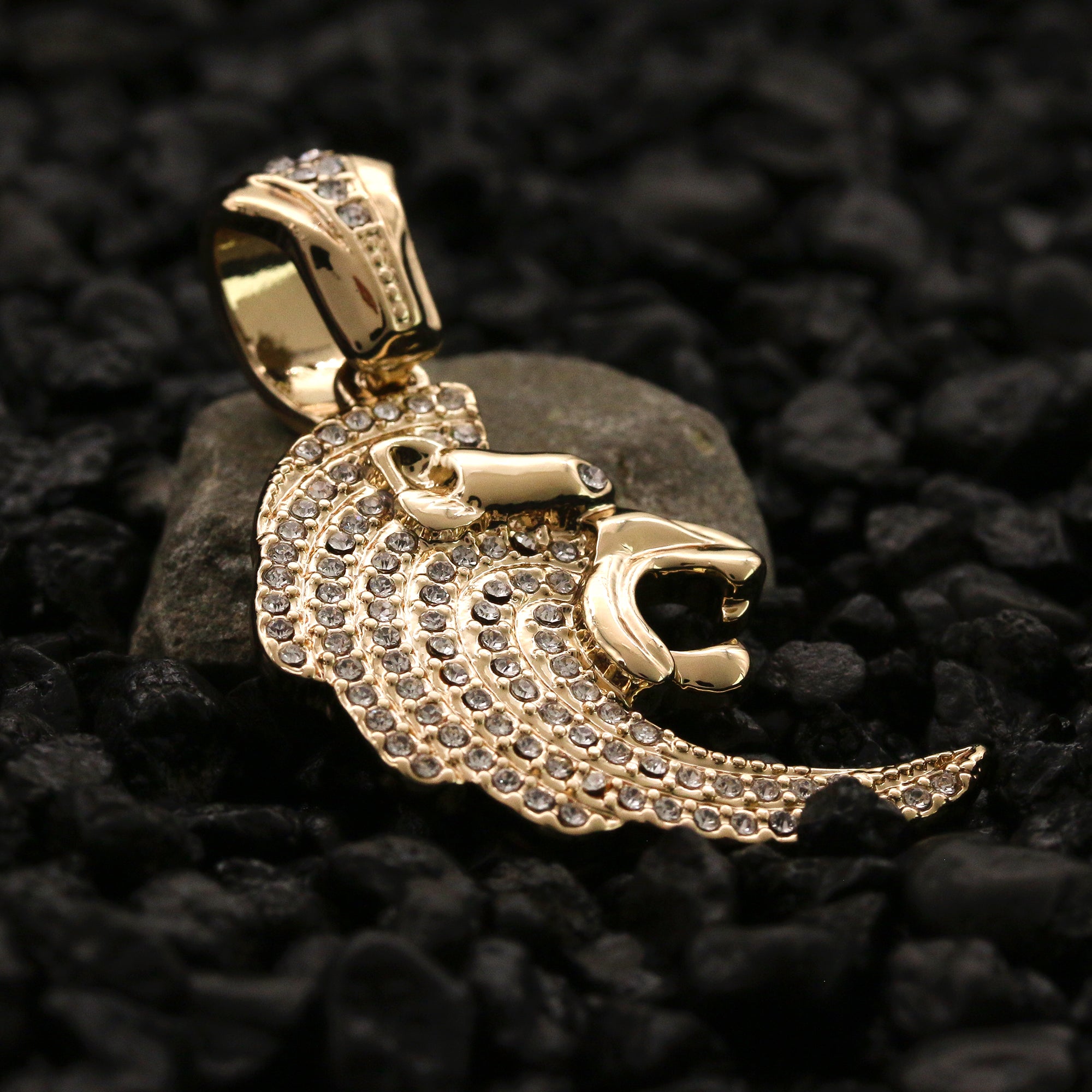 Cz Curved Lion Head Pendant 24" Rope Chain Men's Hip Hop Style 18k Jewelry