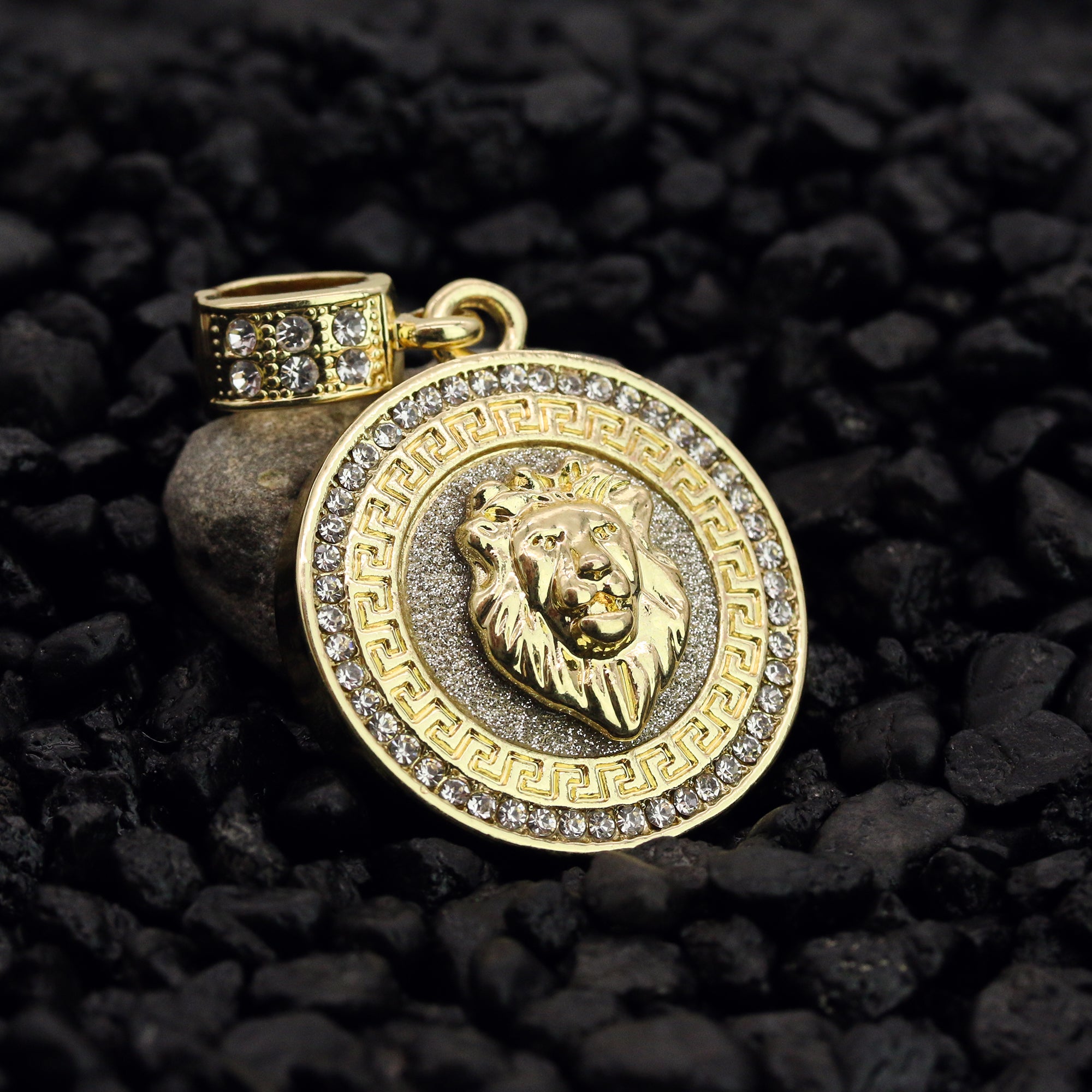 Lion Stardust Coin Pendant 24" Rope Chain Men's Hip Hop 18k Jewelry