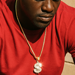 Gold Dollar Necklace with Iced-Out CZ Stones & 30" Franco Chain – 14K Gold-Plated Hip Hop Pendant