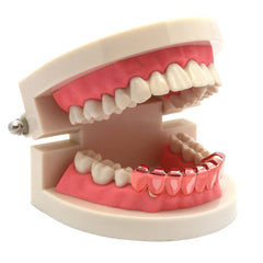 ROSE GOLD BOTTOM GRILLZ 8 TOOTH