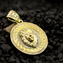 Lion Pattern Coin Pendant 30" Rope Chain Hip Hop Style 18k Gold Plated