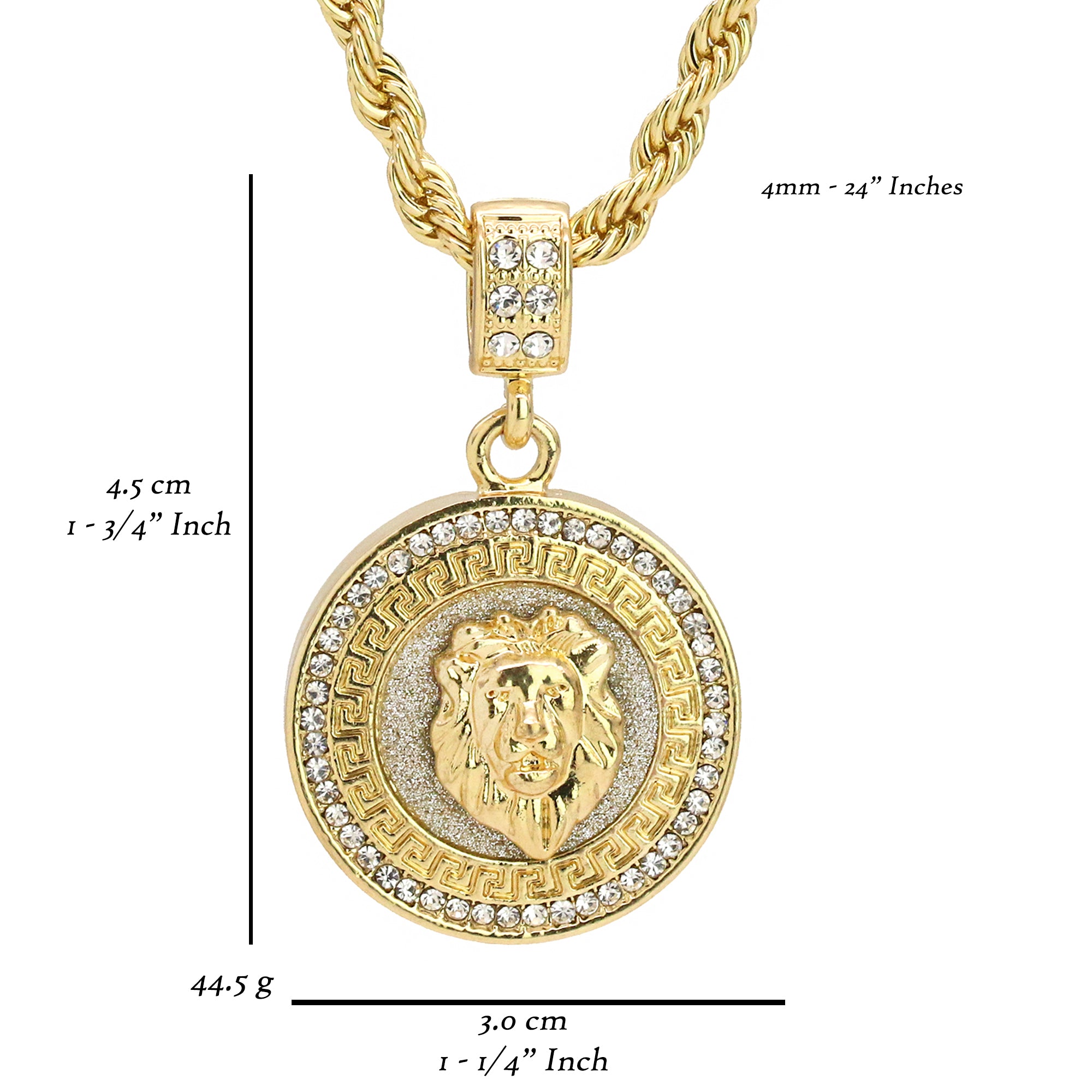 Lion Stardust Coin Pendant 24" Rope Chain Men's Hip Hop 18k Jewelry