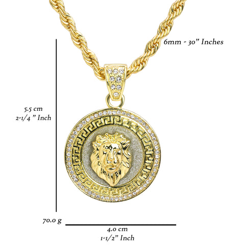 Lion Pattern Coin Pendant 30" Rope Chain Hip Hop Style 18k Gold Plated
