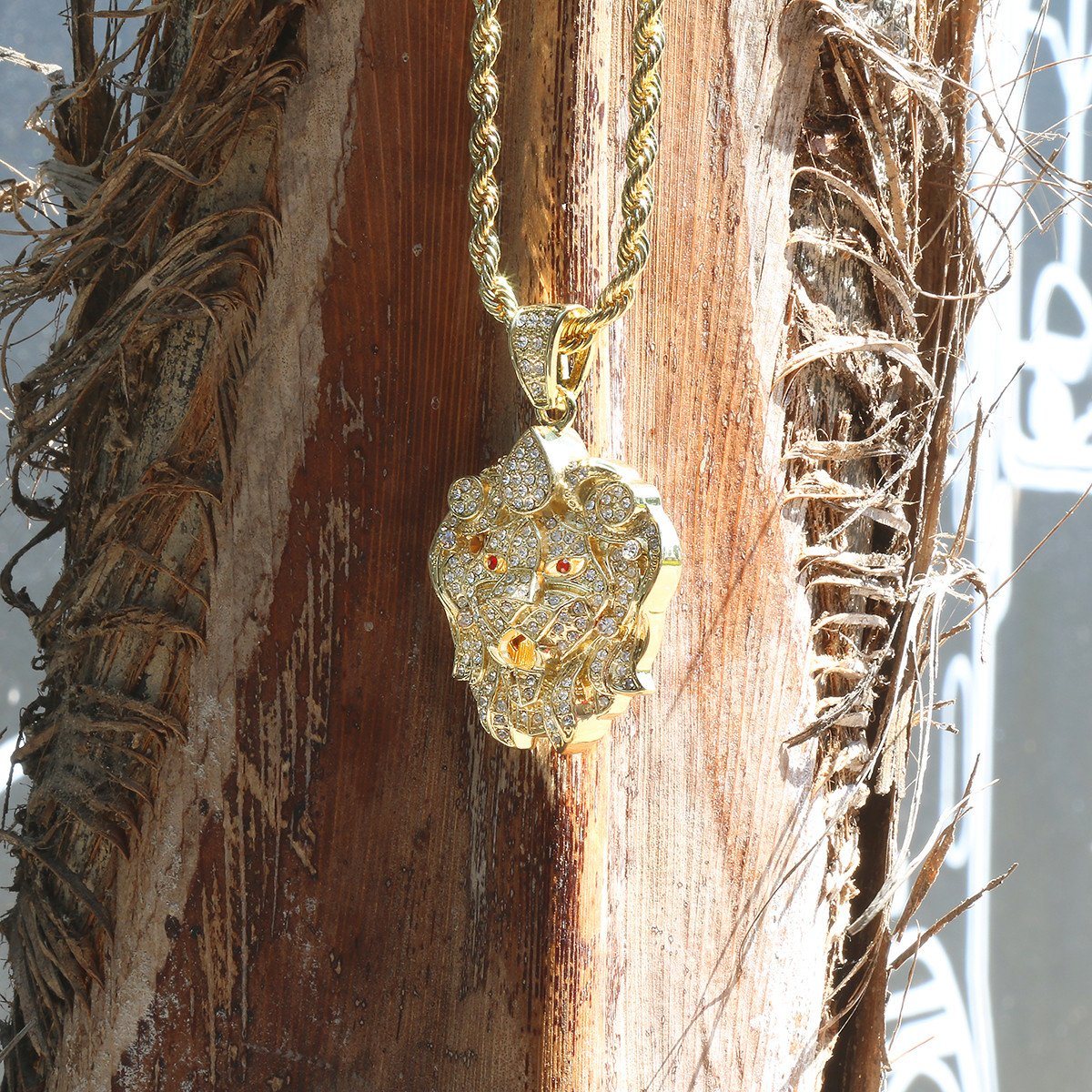 Gold Filled Lion Face Pendant with Rope Chain