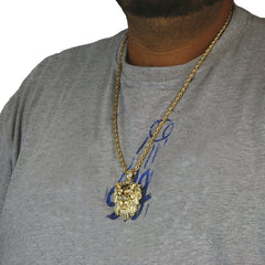 14k Gold Filled Lion Pendant with Rope Chain