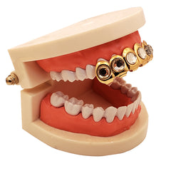 FREE GRILLZ YOU PAY ONLY SHIPPING